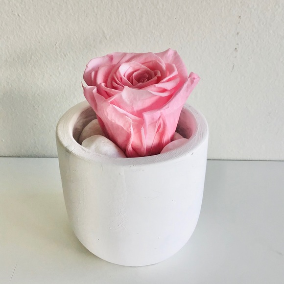 💗Valentine Gift 🌹Forever Rose - Picture 2 of 3